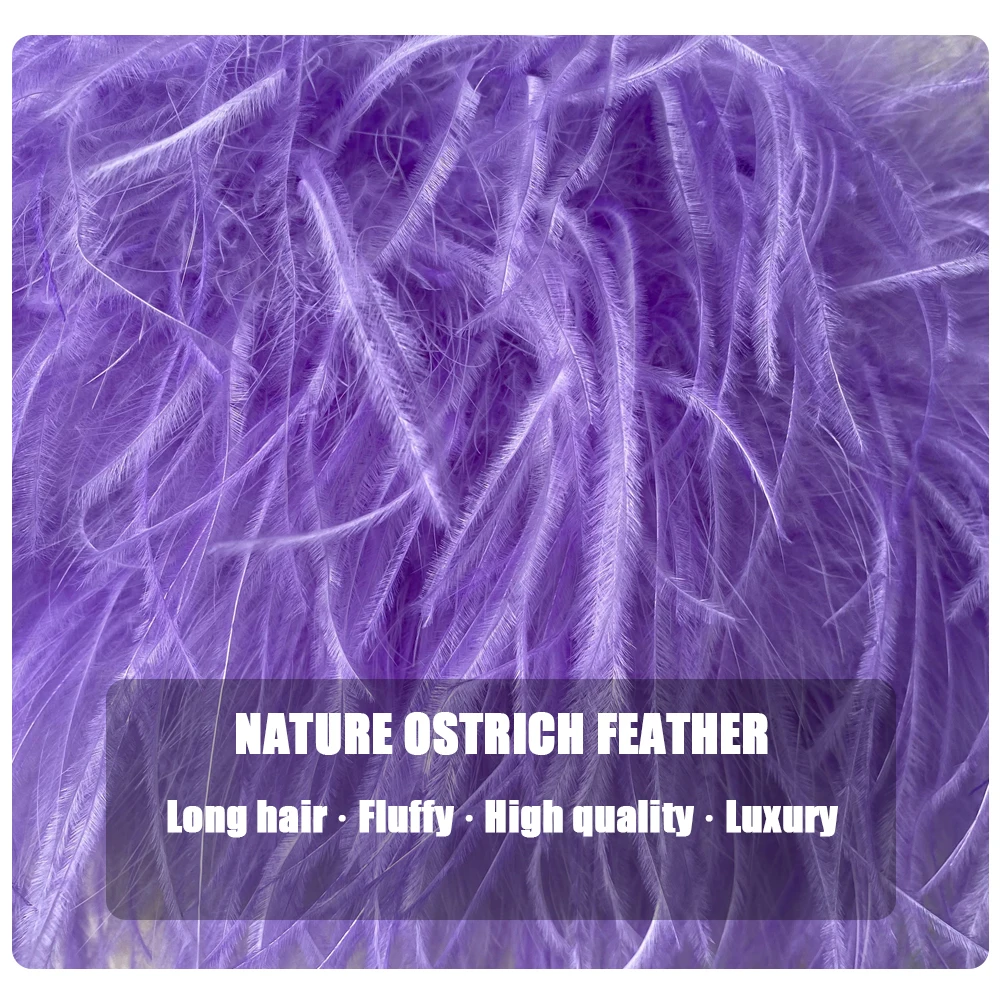Jxwatcher Natural Ostrich Feather Top Bra Women's Summer Feather Tube Lady Wedding Long Hair Fluffy Underwear Evening Party Wear