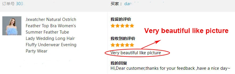 Jxwatcher Natural Ostrich Feather Top Bra Women's Summer Feather Tube Lady Wedding Long Hair Fluffy Underwear Evening Party Wear