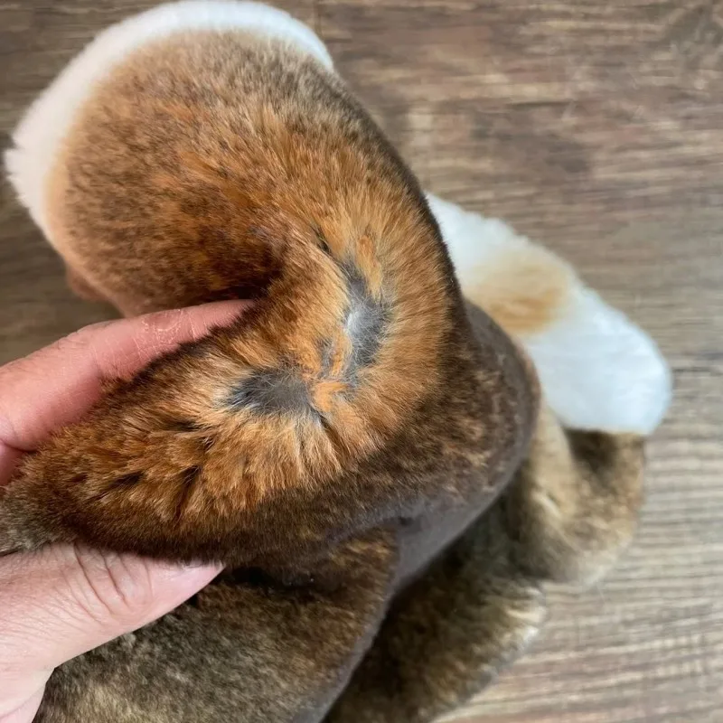 Hot Sale Natural Factory Direct Sale Genuine Chinchilla Skin Rex Rabbit Fur