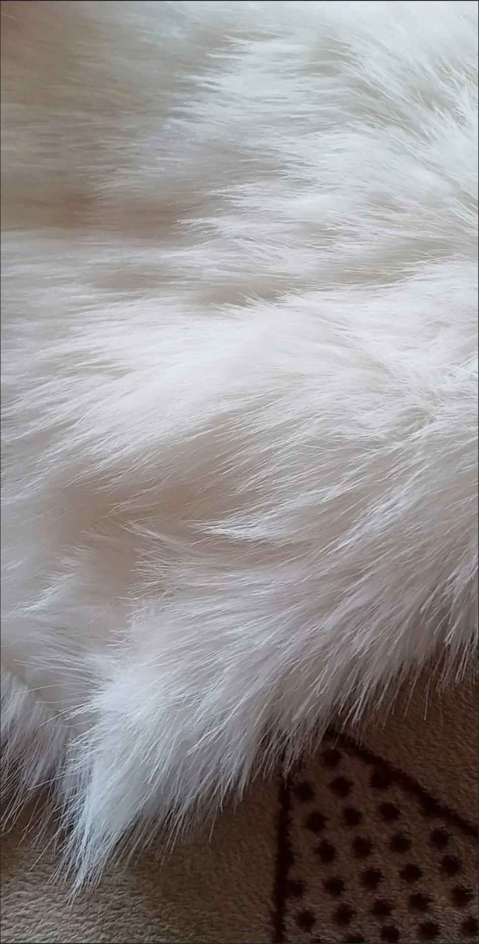 New Autumn Women Open Stitch Solid Color Shawls with Faux Fur Flocking Short Cape Female Winter Pashmina Wraps