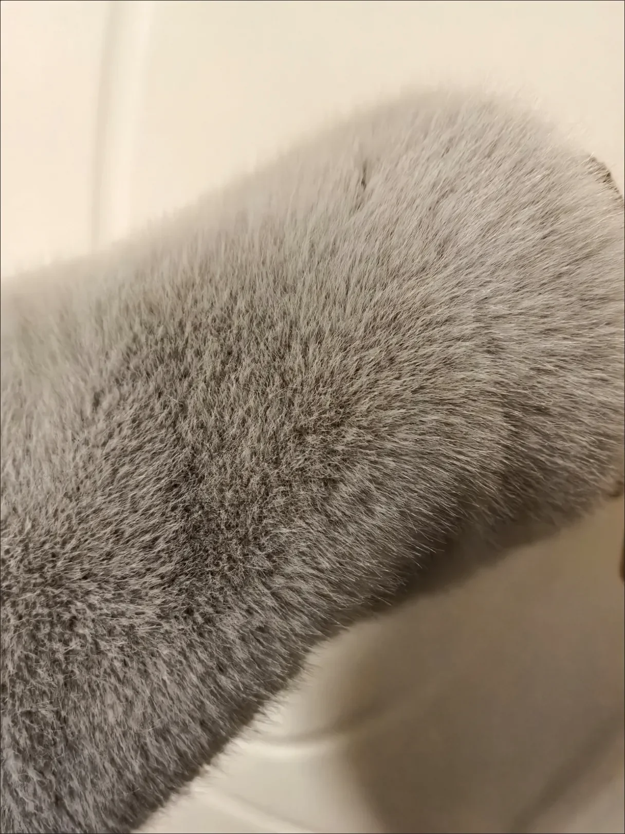Faux Mink Fur Coats for Women,Covered Button Short Jackets,V-Neck Overcoat,Female Clothes,Thicken Warm ,Preppy Style，New，Winter