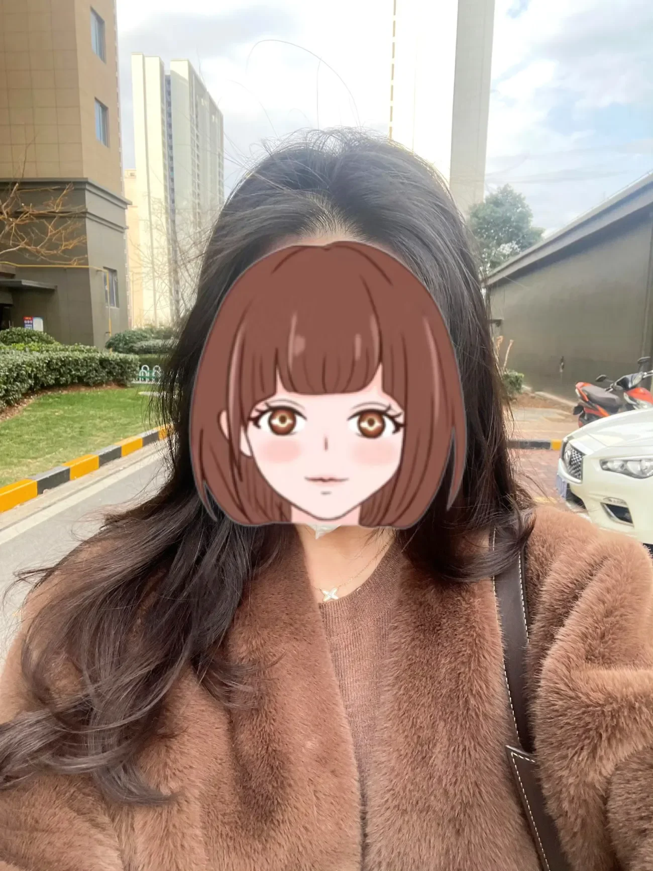 Faux Mink Fur Coat for Women, Covered Open Stitch , V-Neck Jacket,Thick Warm Female Clothes,Autumn and Winter, New, 2024