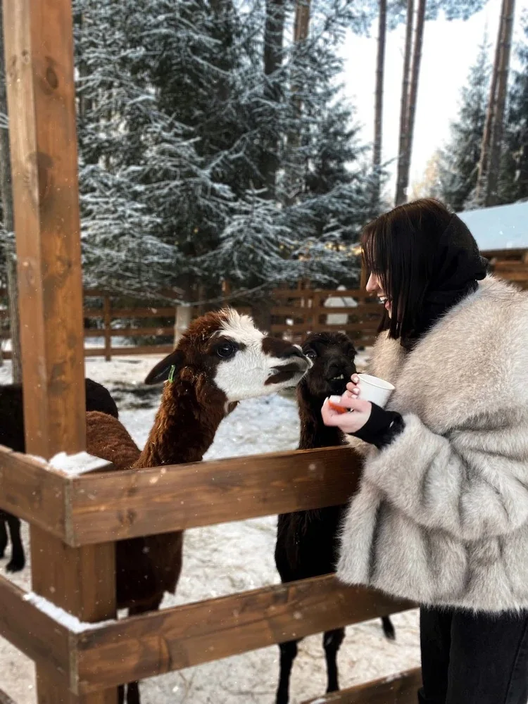 2025 Winter New Fashion Gradient Fluffy Fur Coat Women High Street Luxury Big Fur Collar Faux Fox Fur Jacket Female Overcoats
