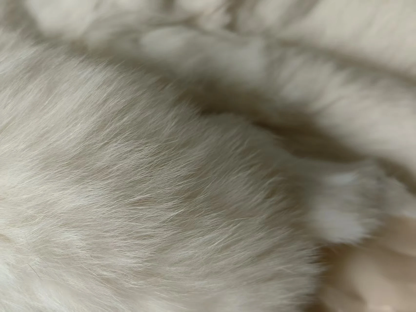 Real Rex Rabbit Fur Coat for Women, Autumn Winter Short Jacket Thick Warm New Fox Fur Collar Elegant Female Warm Outerwear