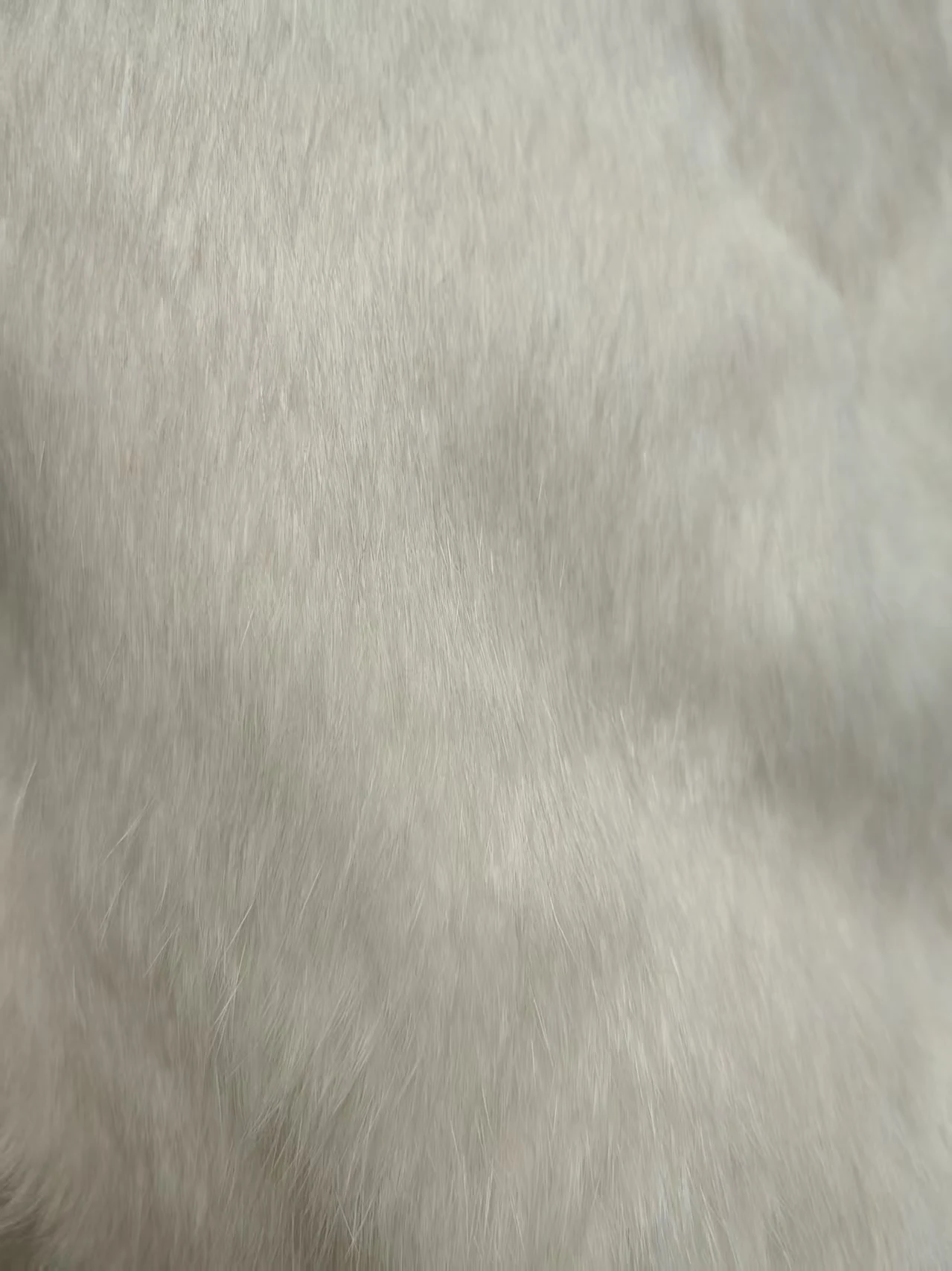 Real Rex Rabbit Fur Coat for Women, Autumn Winter Short Jacket Thick Warm New Fox Fur Collar Elegant Female Warm Outerwear