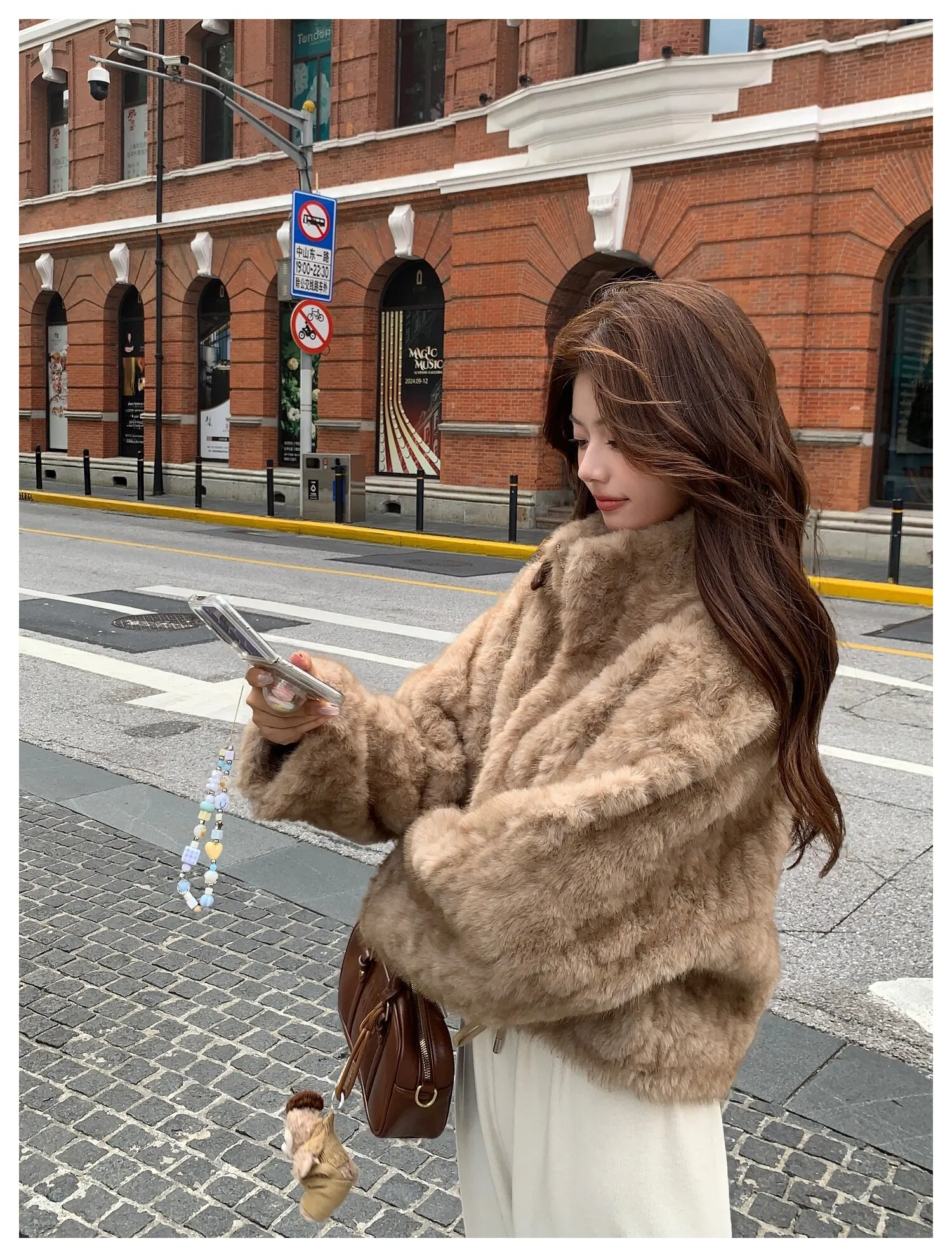 Elegant Maillard Zipper Faux Fur Jacket Women Autumn Winter Stand Collar Cropped Plush Outerwear Woman Korean Loose Warm Jacket