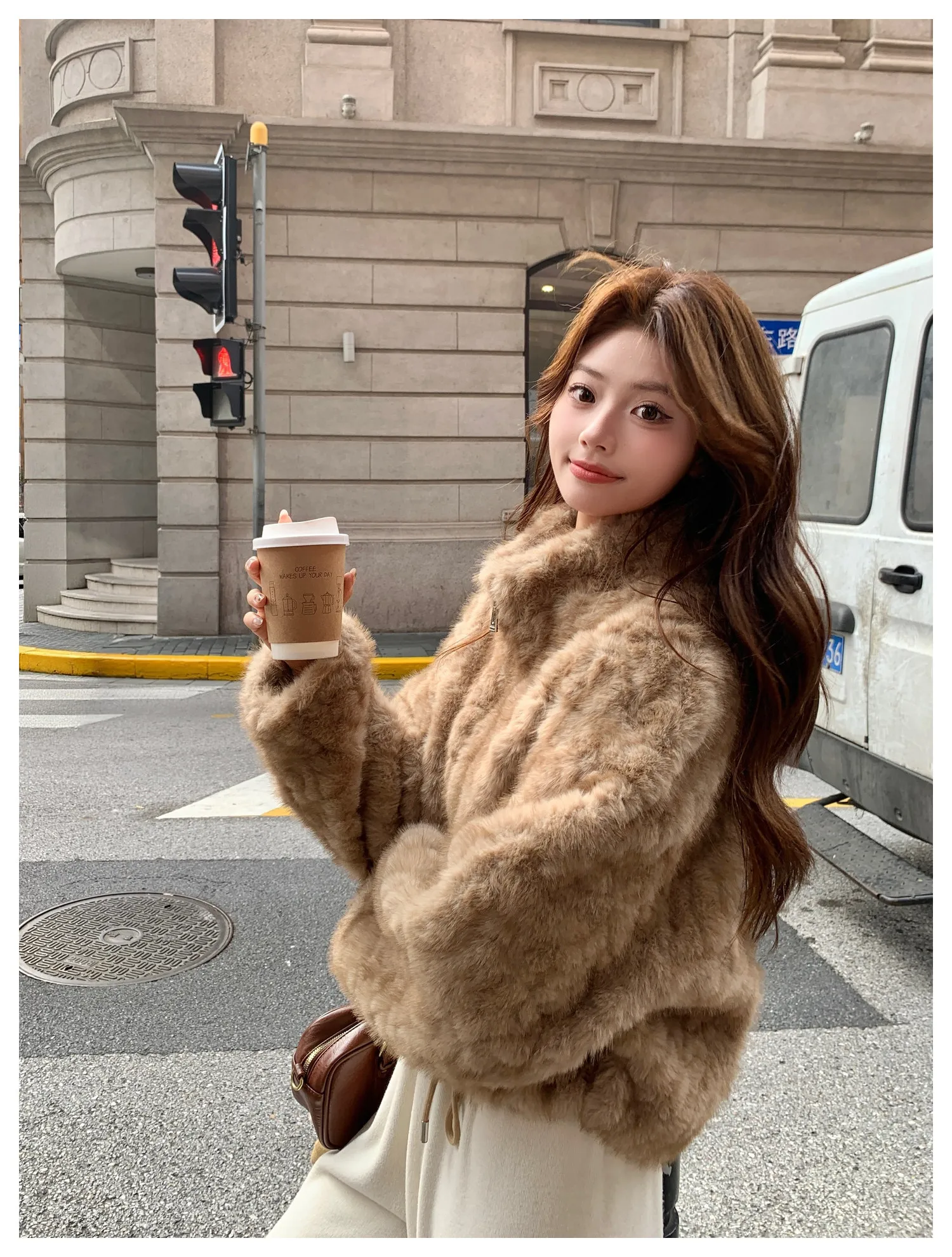 Elegant Maillard Zipper Faux Fur Jacket Women Autumn Winter Stand Collar Cropped Plush Outerwear Woman Korean Loose Warm Jacket