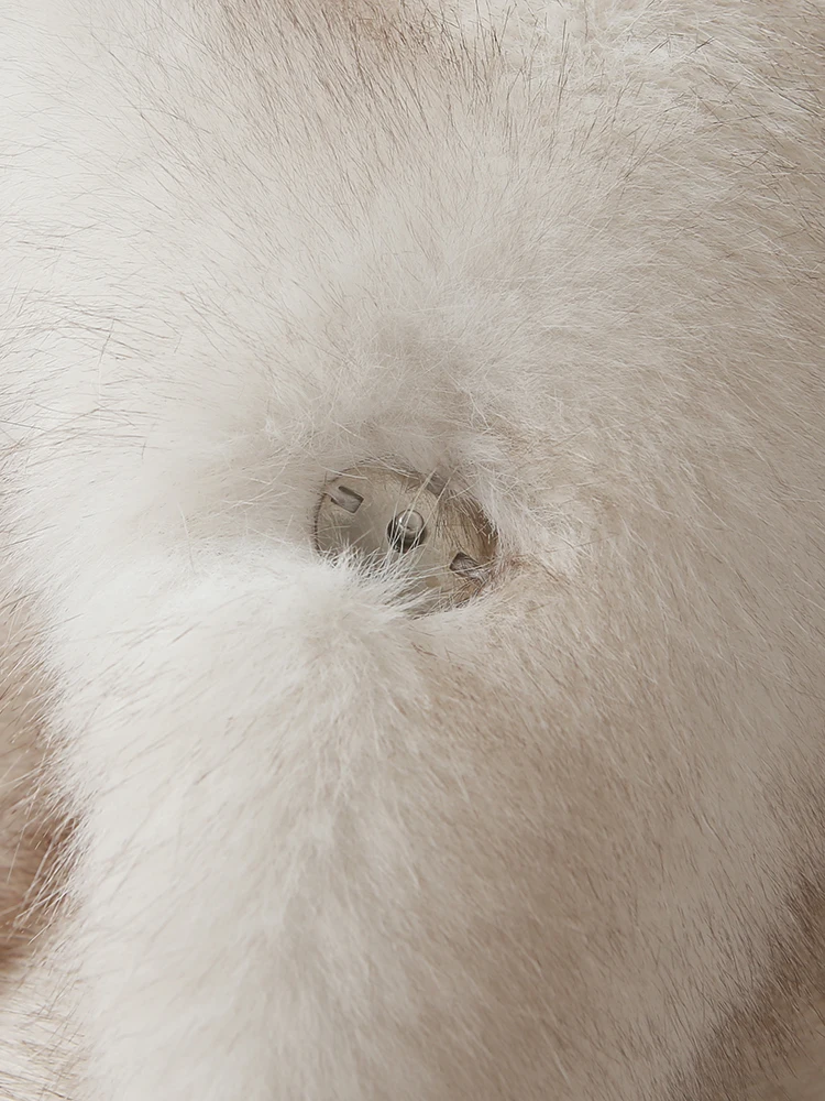 Neo Mint Street Style Long Eco Faux Fur Coats Women 2025 Winter Fluffy Gradient Fox Fur Jacket Brand Fashion Girls Overcoats