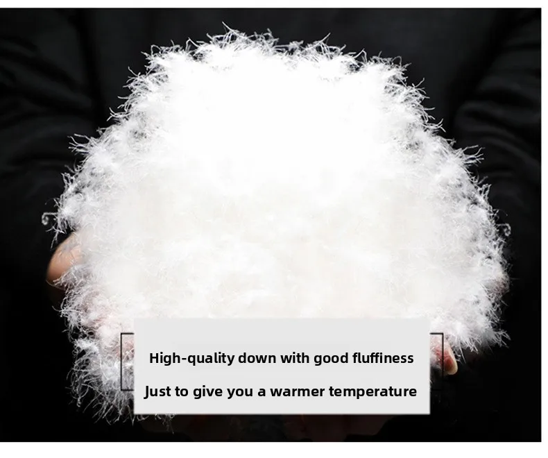 Canada Fashion Winter Jacket for Men Down Coat Parka Men's White Goose Down Jacket Long Padding Detachable Down Inner Liner H819