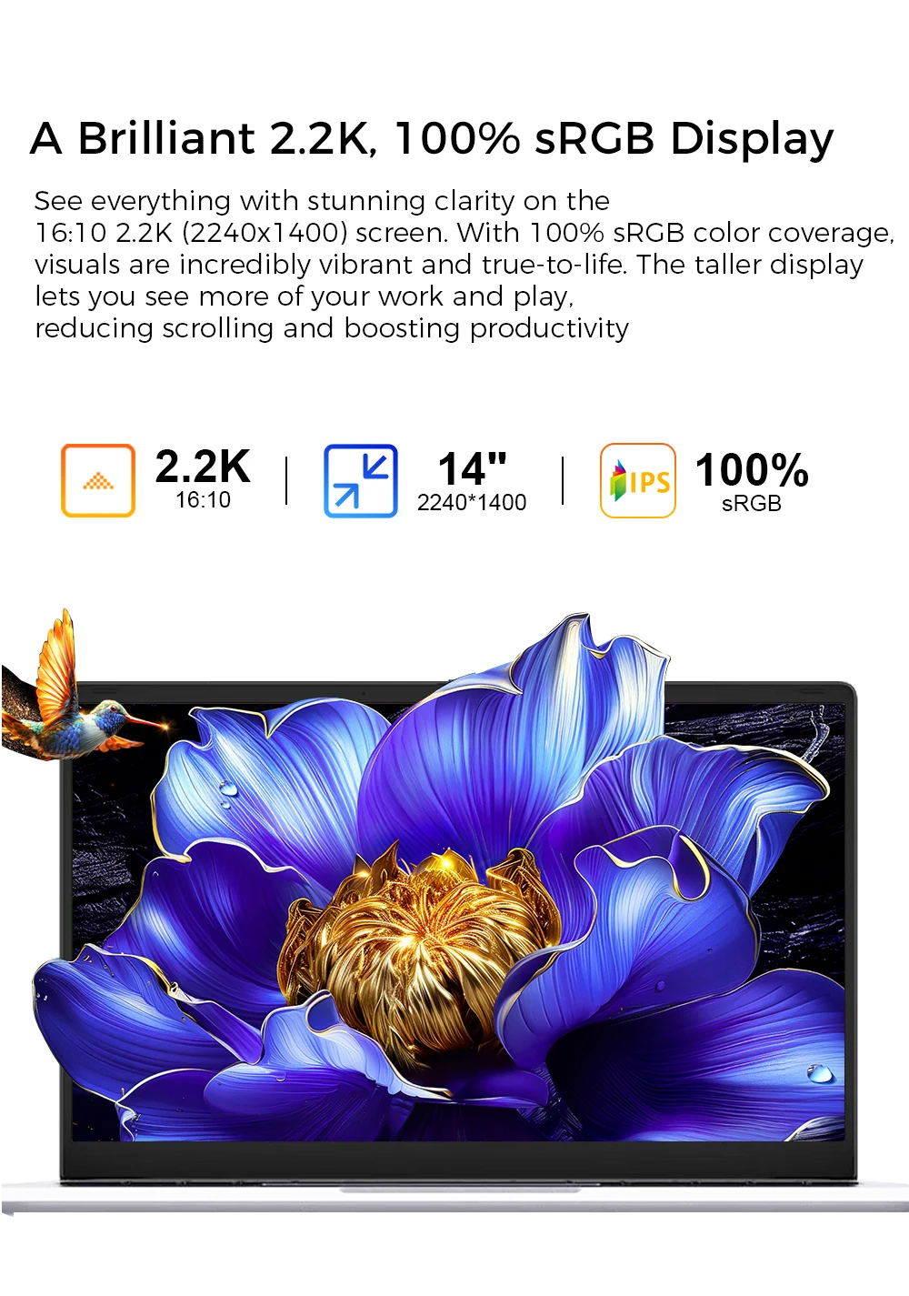 Ninkear 14 Inch Laptop AMD Ryzen 5 6600H 16GB LPDDR5 RAM 512GB SSD 2.2K IPS Display 100% sRGB Ultra Slim 1KG Notebook PC WiFi 6 Bluetooth 5.3 Fingerprint Unlock PD65W Fast Charge Metal Body