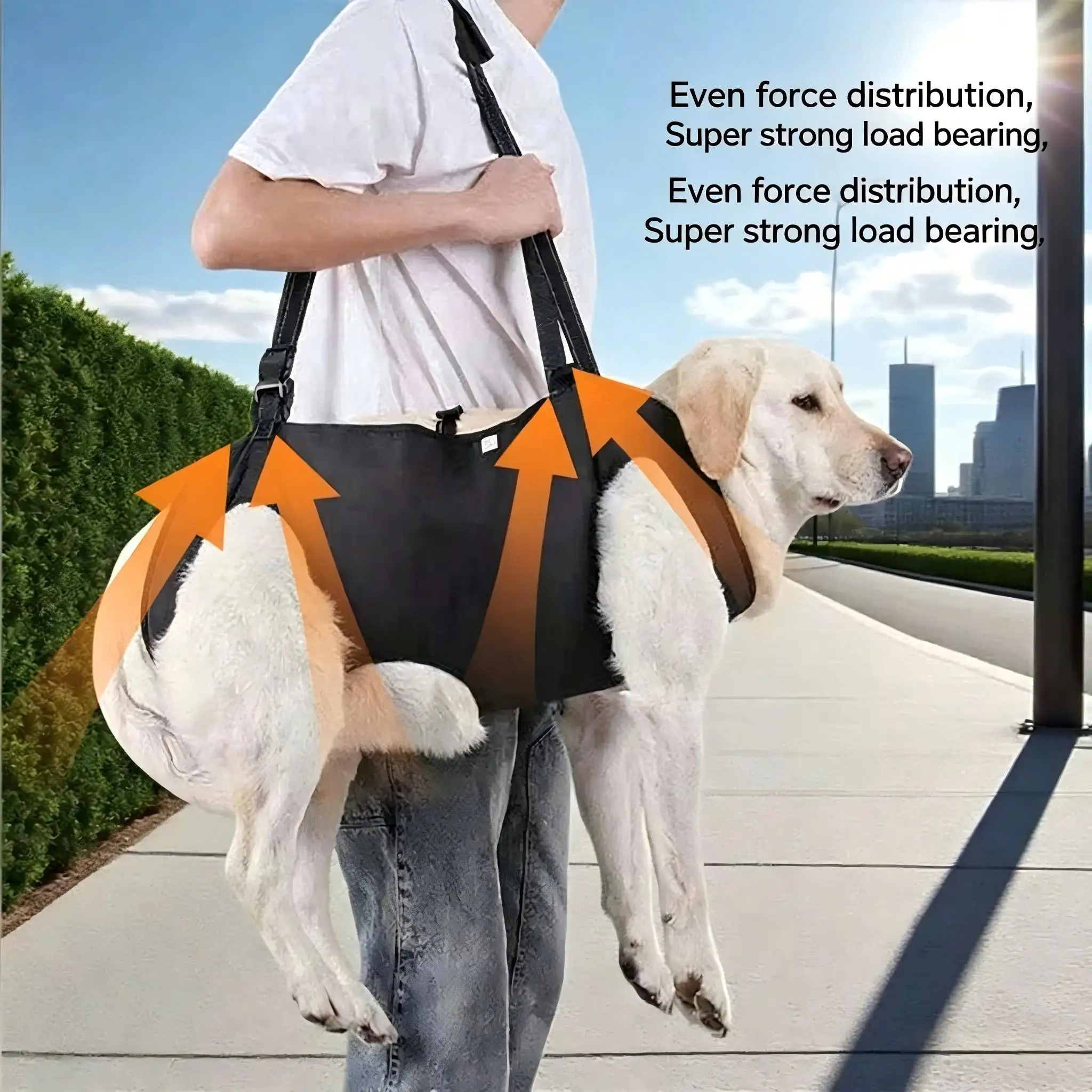 Dog Stair Assistance Leash, Elderly Dog Support Sling, Adjustable Pet Lift Vest, Large Dog Stair Climbing Aid Harness