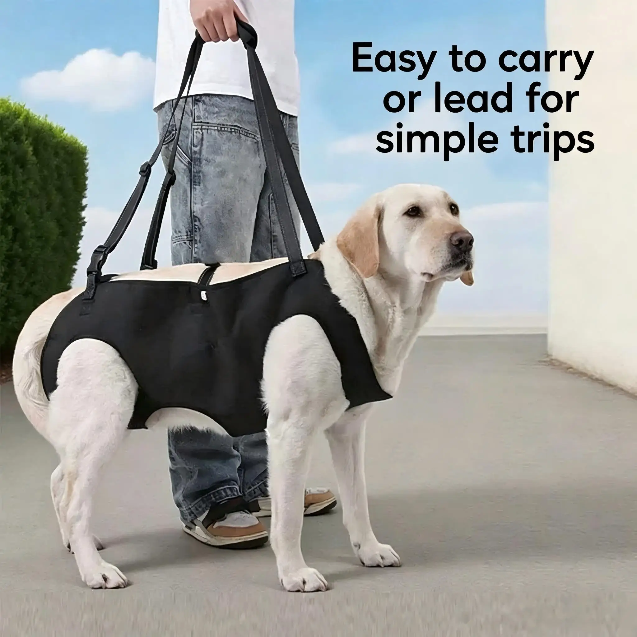 Dog Stair Assistance Leash, Elderly Dog Support Sling, Adjustable Pet Lift Vest, Large Dog Stair Climbing Aid Harness