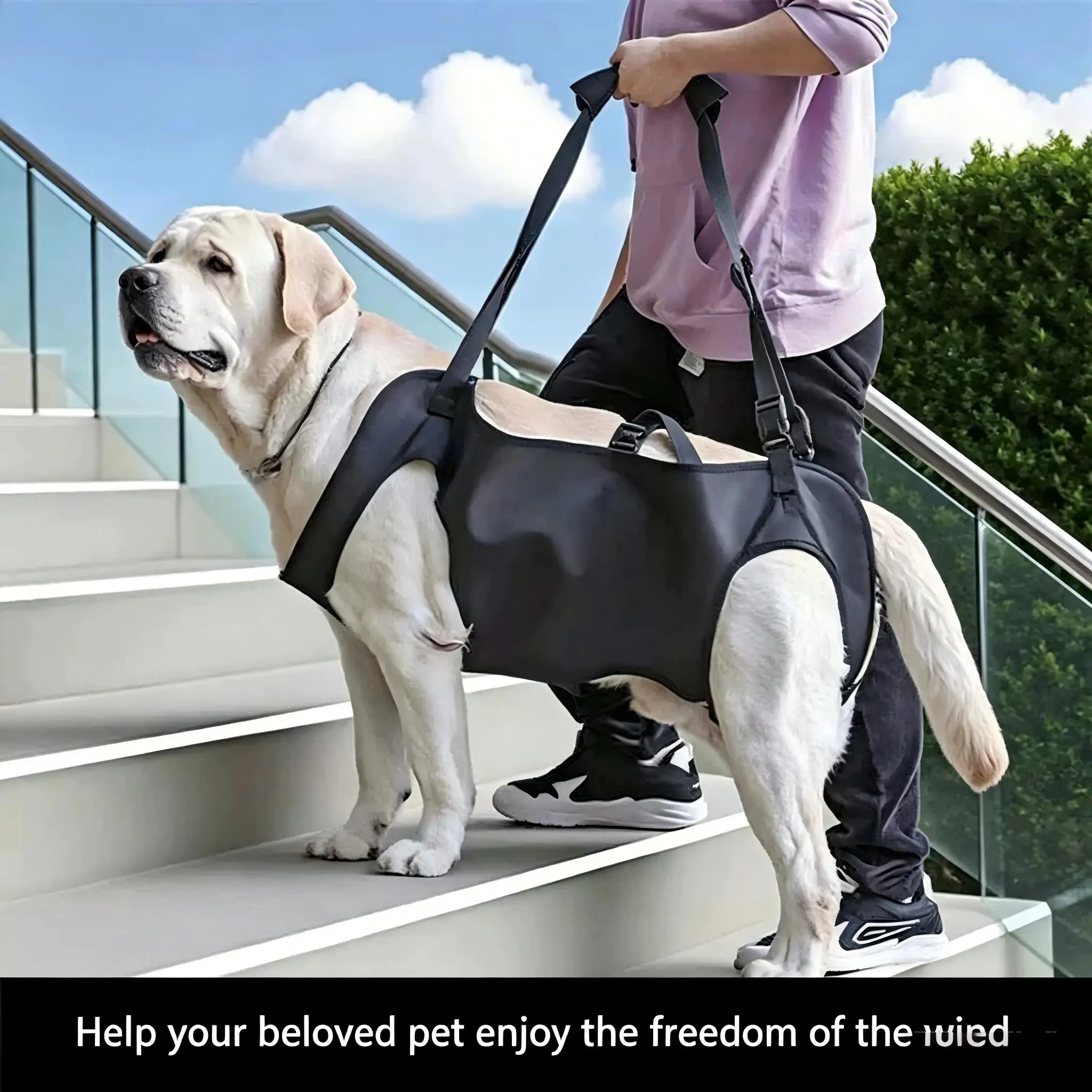Dog Stair Assistance Leash, Elderly Dog Support Sling, Adjustable Pet Lift Vest, Large Dog Stair Climbing Aid Harness