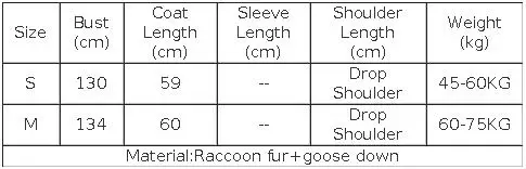 2025 Fashion Winter Women Goose Down Jacket Natural Raccoon Fur Collar Coats Parka Puffer Jackets Outwear Coats