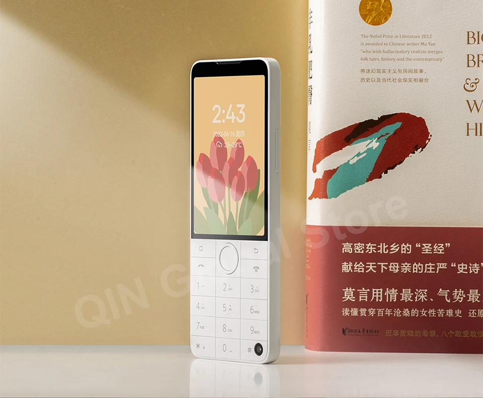 Qin F22 Pro MTK Helio G85 Duoqin Wifi 3.54 Inch 4GB/6GB 64GB Octa Core Bluetooth 5.0 640*960 Touch screen Google Global Phone