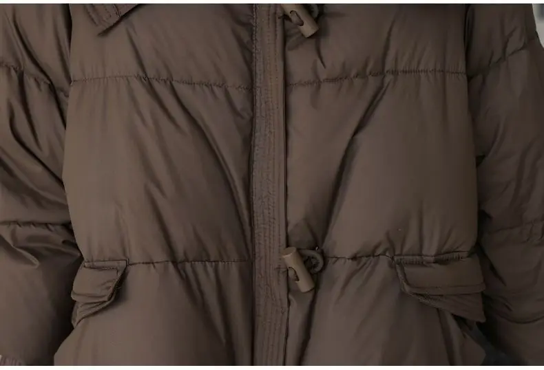 2026 Autumn/Winter New Down Jacket Women's Korean Loose Short Coat Female Big Fur Collar Cotton Jacket Women Snow Parka Coats