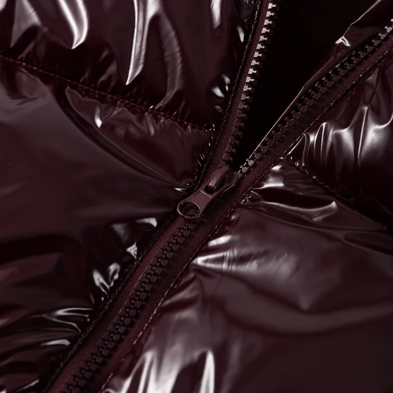 Solid Glossy Zipper Hooded Coats Women's Warm Elastic Waist Pleated Short Cotton Jacket 2026 Winter New Lady High Street Outwear