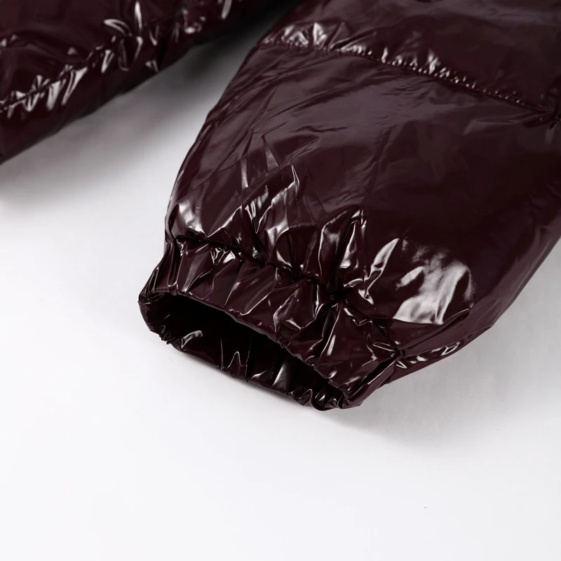 Solid Glossy Zipper Hooded Coats Women's Warm Elastic Waist Pleated Short Cotton Jacket 2026 Winter New Lady High Street Outwear