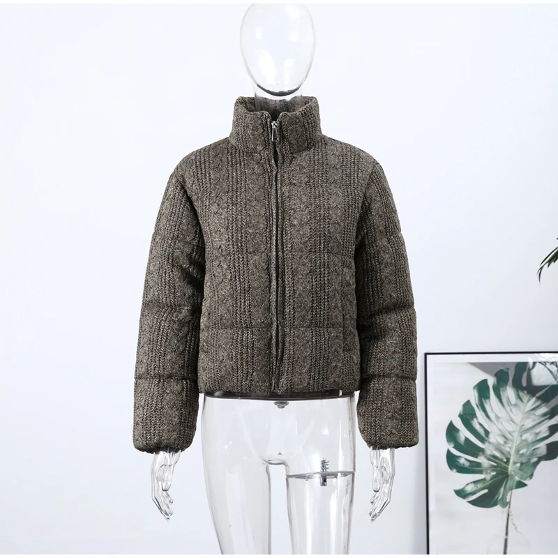 2025 Chic Puffy Padded Coat Women Casual Thicken Stand Collar Down Cotton Coats Female Winter Classic Versatile Street Outerwear