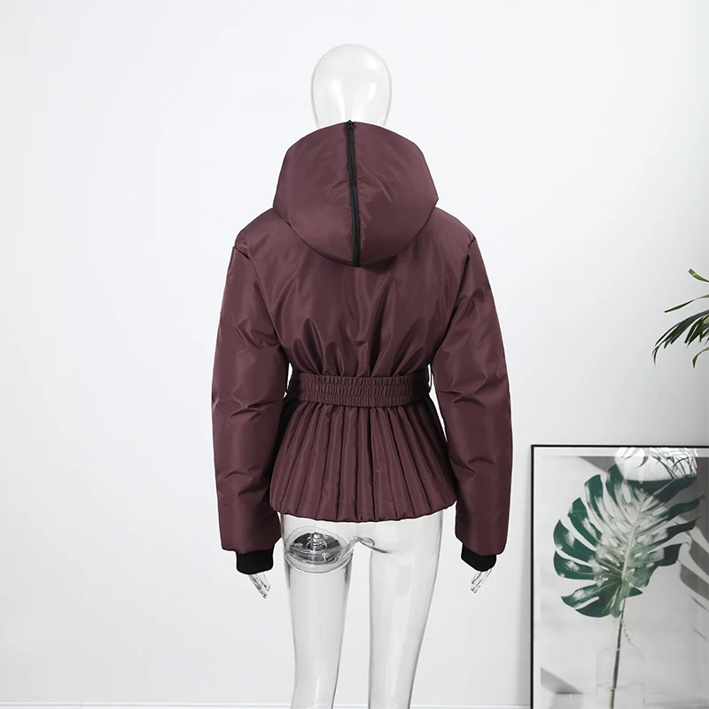 Casual Hoodie Thicken Belts Coats Women Solid Full Sleeve Stand Collar Closed Zippers Coat Female 2025 Winter Lady Outwears