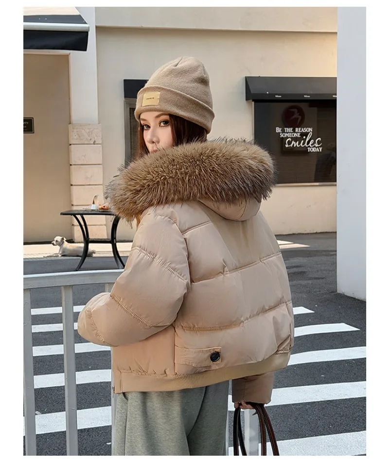 Autumn Winter 2026 New Women's Cotton Padded Jacket Fur Collar Zipper Warm Thicken Coat  Hooded Parkas Jacket Female Outwears