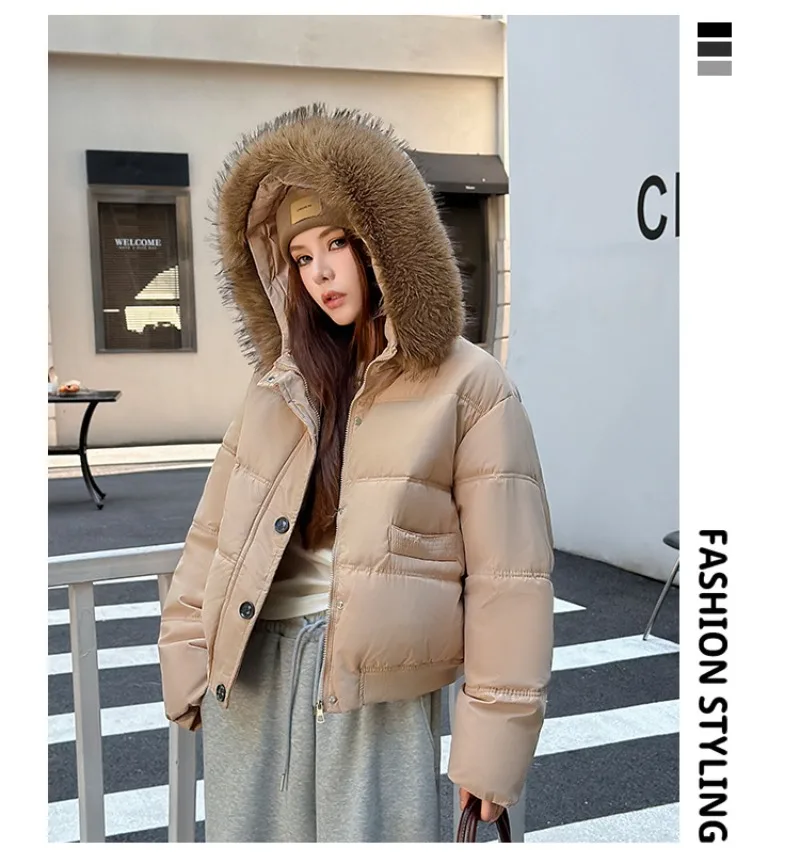 Autumn Winter 2026 New Women's Cotton Padded Jacket Fur Collar Zipper Warm Thicken Coat  Hooded Parkas Jacket Female Outwears