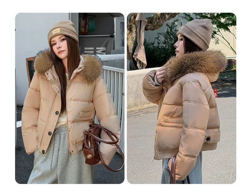 Autumn Winter 2026 New Women's Cotton Padded Jacket Fur Collar Zipper Warm Thicken Coat  Hooded Parkas Jacket Female Outwears