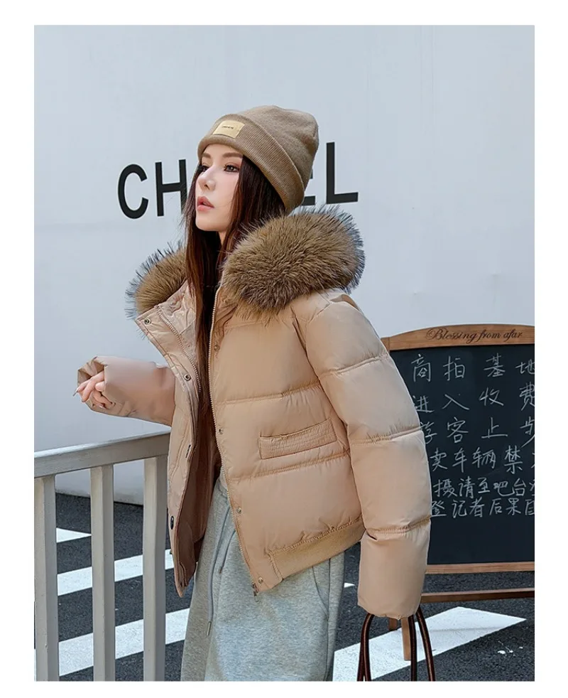 Autumn Winter 2026 New Women's Cotton Padded Jacket Fur Collar Zipper Warm Thicken Coat  Hooded Parkas Jacket Female Outwears