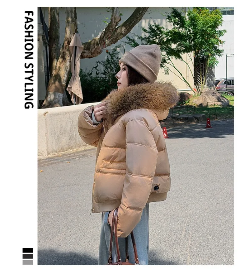 Autumn Winter 2026 New Women's Cotton Padded Jacket Fur Collar Zipper Warm Thicken Coat  Hooded Parkas Jacket Female Outwears