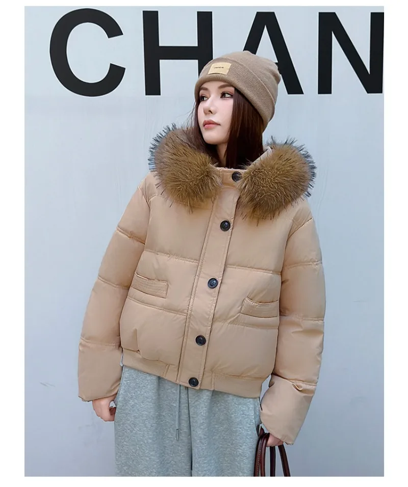 Autumn Winter 2026 New Women's Cotton Padded Jacket Fur Collar Zipper Warm Thicken Coat  Hooded Parkas Jacket Female Outwears