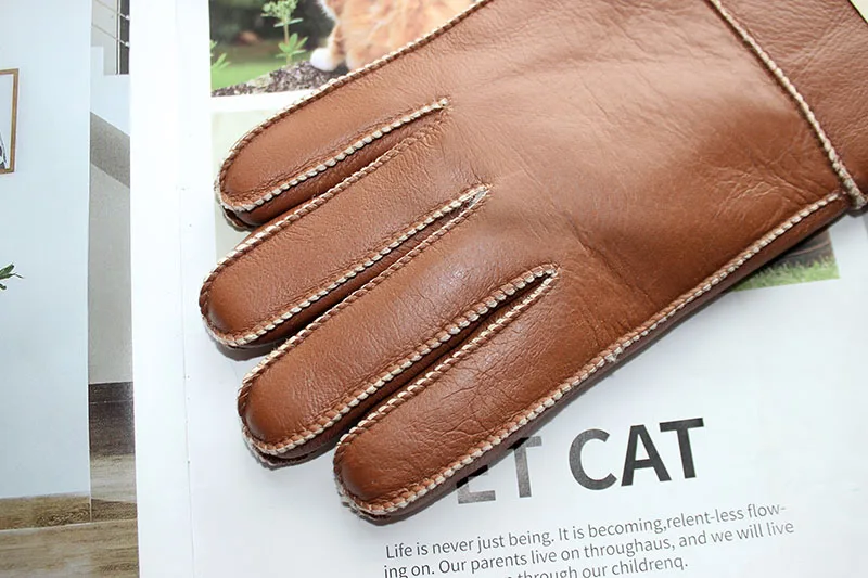 Winter Warm Sheepskin Fur Gloves Men Thickened Outdoor Motorcycle Riding Windproof and Cold-Proof Leather Points Wool