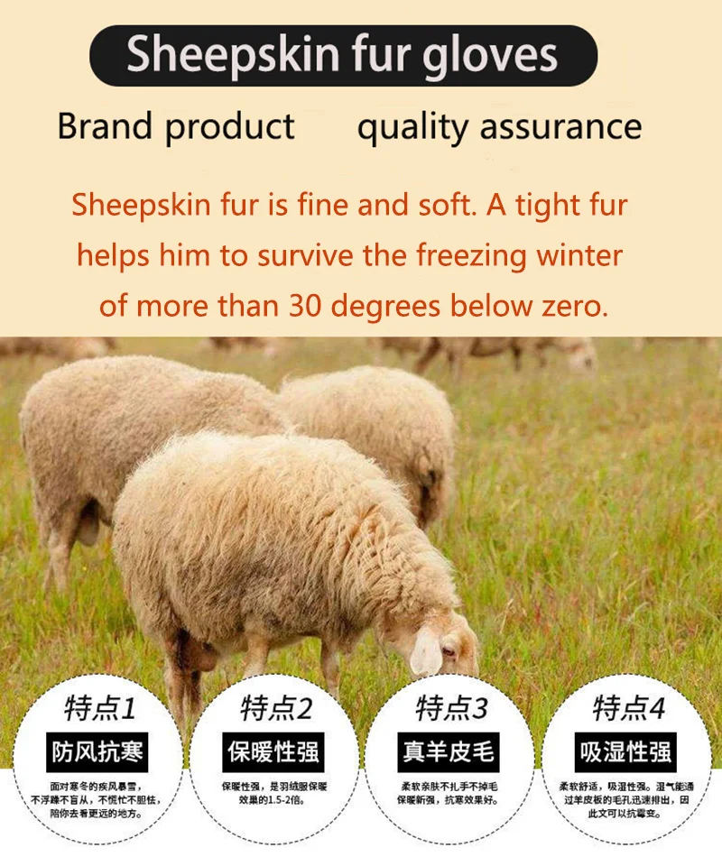 Winter Warm Sheepskin Fur Gloves Men Thickened Outdoor Motorcycle Riding Windproof and Cold-Proof Leather Points Wool