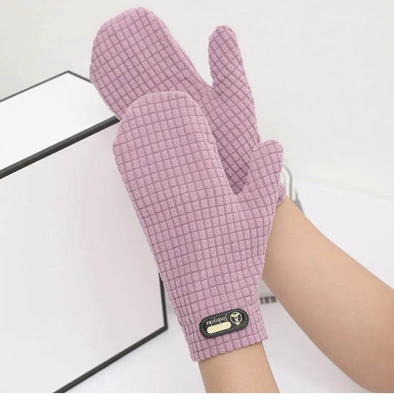 Mittens for Men Spring and Autumn Warm Cycling Driving Bike Windproof Elastic Winter Fleece Couples All-Wrapped Finger Gloves