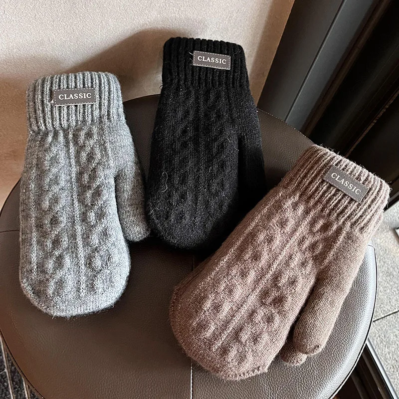 Man Winter Keep Warm Double Layer Add Velvet Thickened Prevent Cold Knitted Gloves Classical Style Elegant Twist Mittens