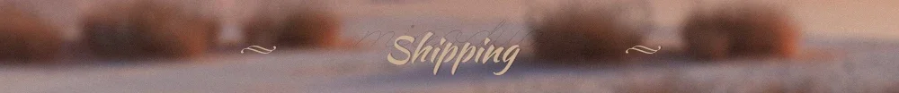 Customized Ball Gowns Beaded Appliques Sequins Off Shoulder Wedding Dress Long Sleeve Pleat Sweep Train Bridal Dresses