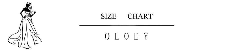 OLOEY Princess A Line Lace Korea Wedding Dresses Off Shoulder Silk Lace Photo Shoot Long Elegant Bridal Gowns 웨딩드레스 Custom