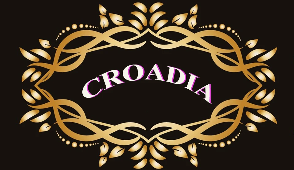 Croatia Elegant Luxurious Netting Wedding Dresses Tulle Applique Marriage For Women Appliques Vestidos De Novia Customized