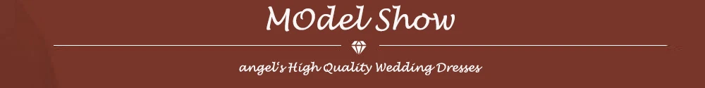 ANGEL Pastrol Wedding Dresses For Woman 2025 Customized Illusion Back Scoop Bride Gowns Applique A-Line Tulle vestidos de novia