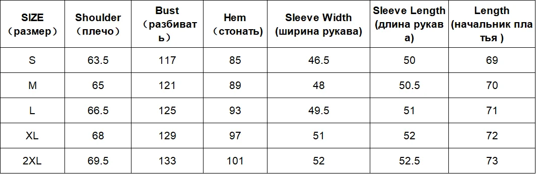 CHIC VEN Women Sweatshirts Loose Casual New Hooded Letter Embroidered Flush Hoodie Female Pullover Woman Top Autumn Winter 2024