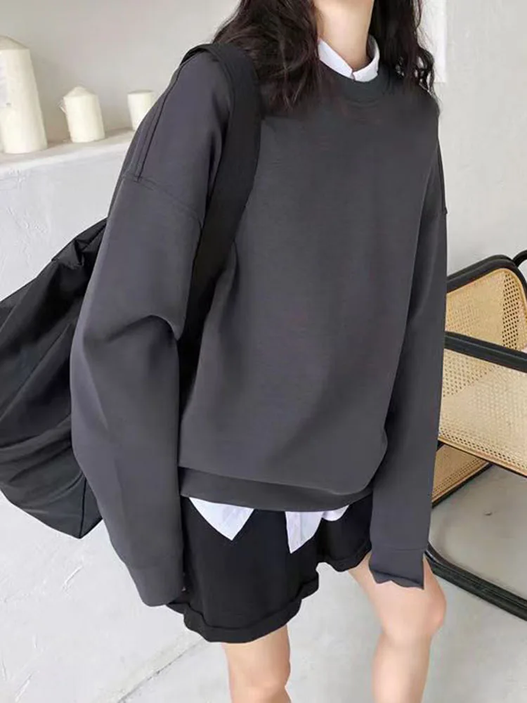Streamgirl Women Fleece Sweatshirts Autumn Winter Loose O Neck Brown Velvet Pullovers Red Warm Fleece Sweatshirts Women Couple