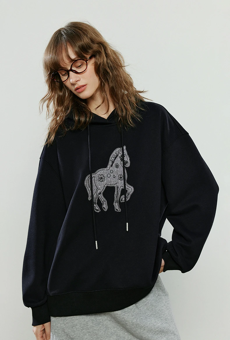 TOYOUTH Women Hoodies 2025 Winter New Loose Crew-neck Warm Applique Embroidery Tops