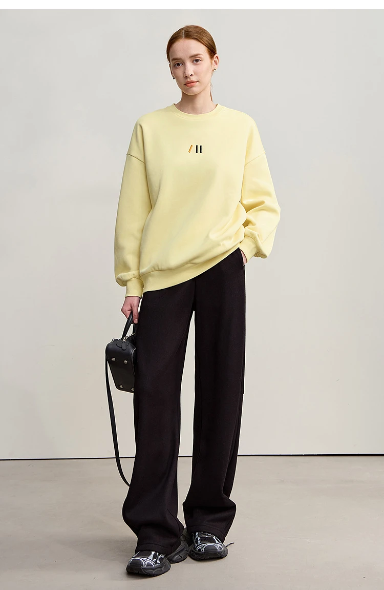 Amii Sweatshirt For Woman 2026 Winter New Casual Round Neck Long Sleeve Hoodie Women Loose Warm Pullover Versatile Top 12524080