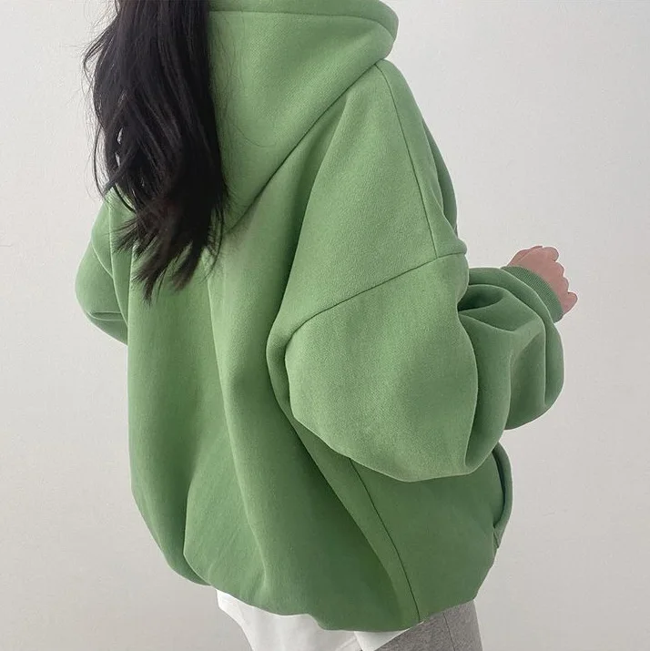 Woman 2025 Autumn and Winter Street Loose Embroidery Casual Hoodies New Plush Hooded Sweatshirt Women Sweatshirts