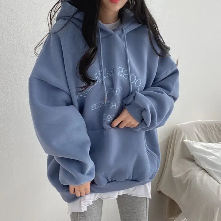 Woman 2025 Autumn and Winter Street Loose Embroidery Casual Hoodies New Plush Hooded Sweatshirt Women Sweatshirts