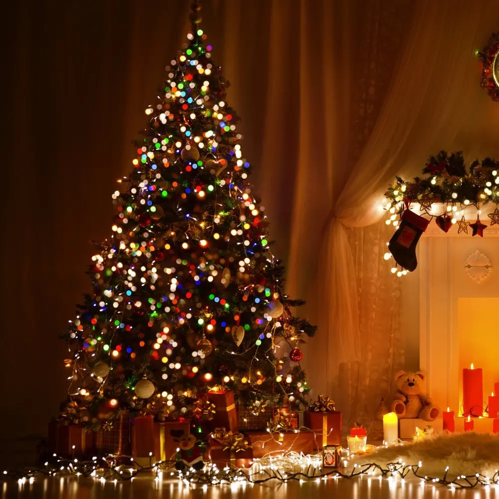 10/20/30/50M Christmas Lights Strip DC 12V Fairy Light Waterproof Silver Wire Xmas Lamp Wedding Decor Christmas Tree Ornament