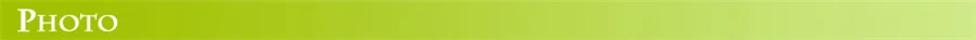 Waterproof Garland 200/300LEDs Tube String Lights Outdoor 8 Modes Christmas Fairy Lights for Garden Party Wedding New Year Decor