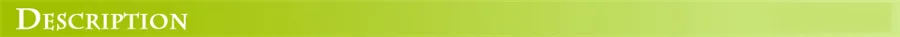 10/20/30/50M LED Christmas Tree Fairy Lights Outdoor Waterproof Garden String Lights for Party Wedding Garland Backyard Decor