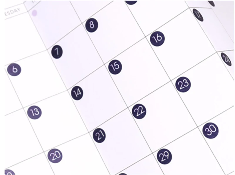 Fromthenon Round Number Sticker 365 Daily Days Stickers for 2024 Full Year Diary Journal Supplies Planner Decorative Stationery