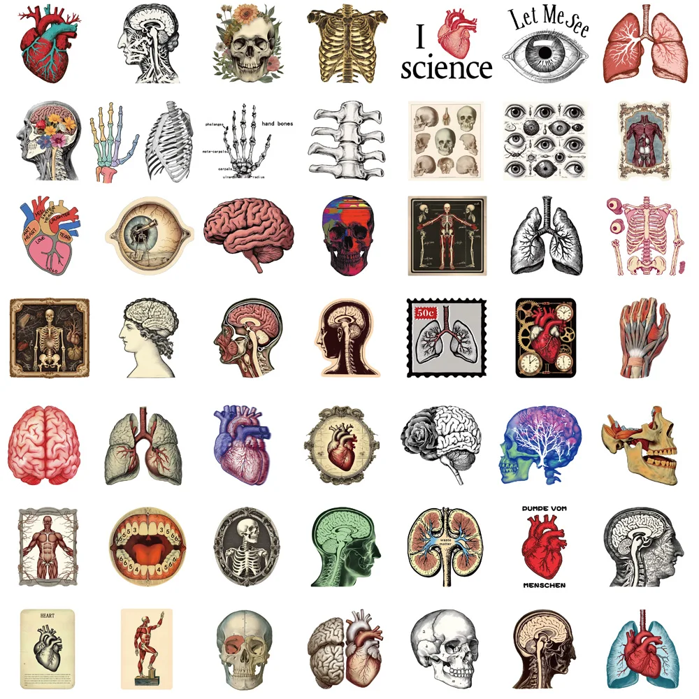 50PCS Retro Scientific Anatomy Sticker Physiology Anatomy Luggage Laptop Cars PVC Guitar Coffee Skateboard Notebook Decals