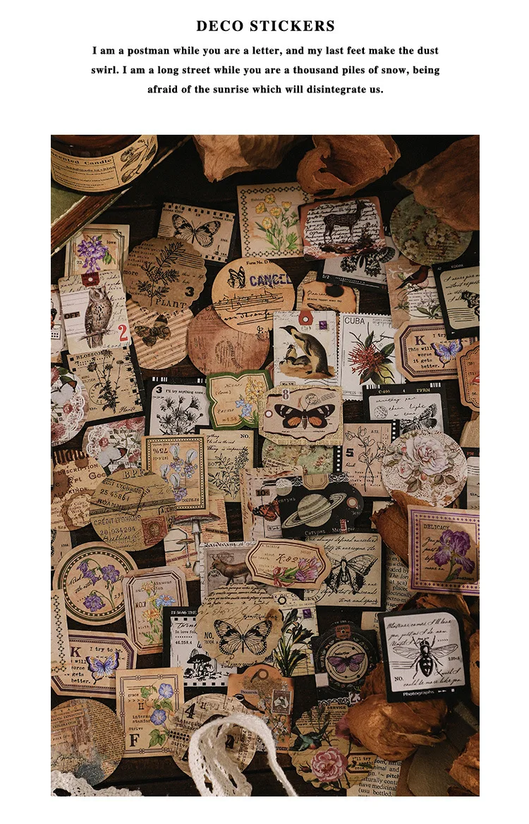 46 Pcs Kawaii Vintage Stationery Sticker Set Animal & Plant Designs for Gift Packing Scrapbooking Album Planning & Journaling
